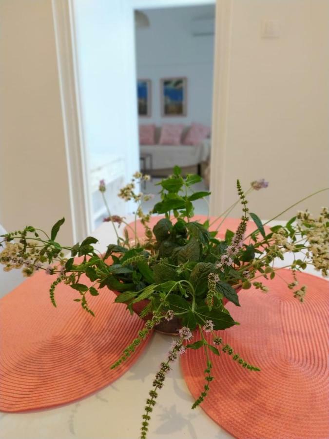 Kalymnos Residence エクステリア 写真